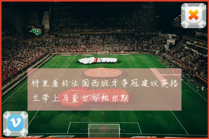特里看好法国西班牙争冠建议英格兰带上马奎尔与帕尔默