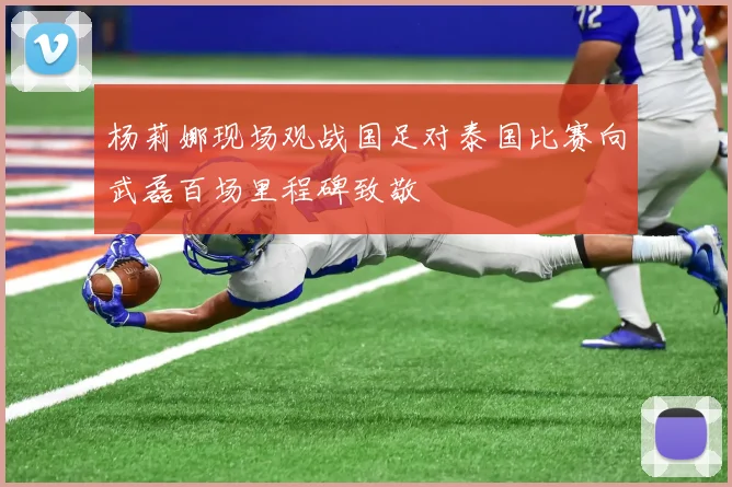 杨莉娜现场观战国足对泰国比赛向武磊百场里程碑致敬