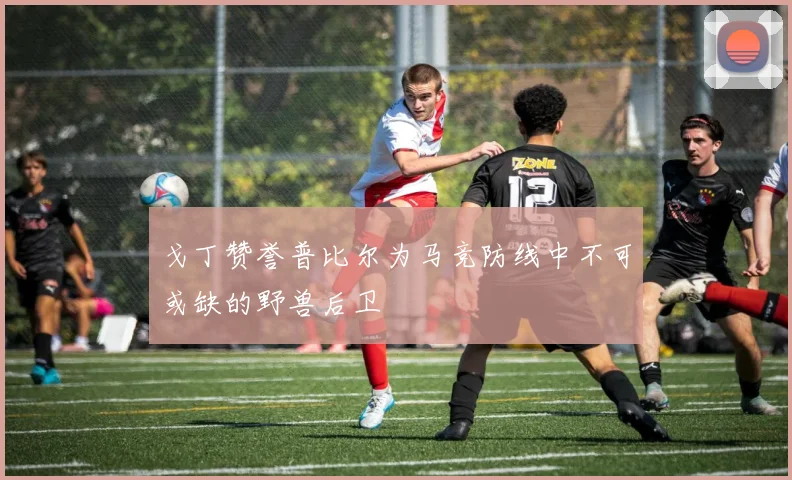 戈丁赞誉普比尔为马竞防线中不可或缺的野兽后卫